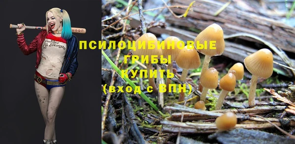 винт Балахна
