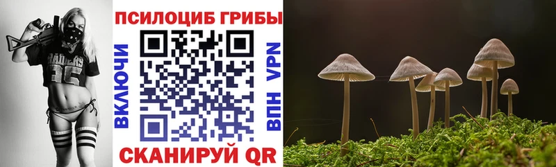 Купить где  Сердобск  Галлюциногенные грибы прущие грибы 